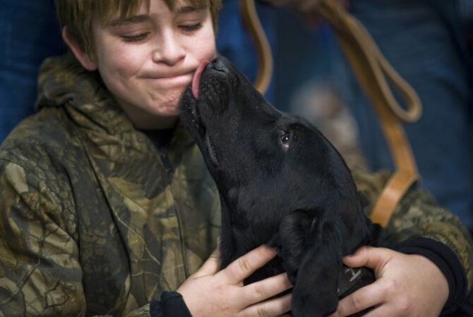 Descubra por que cachorro lambe o pé do dono Revista Meu Pet