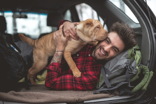 Tudo sobre o cachorro Sharpei