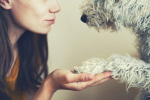 Aprenda como cortar unha de cachorro