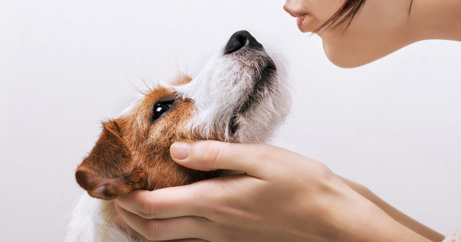 Beijar seu pet faz mal: mito ou verdade?