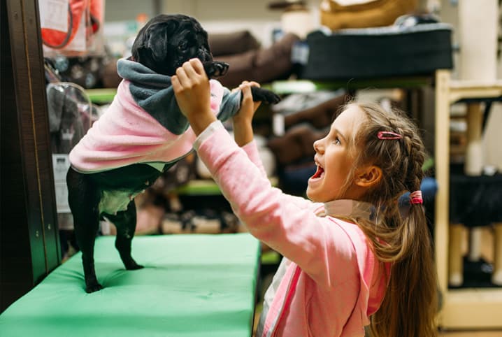 Roupas pet: descubra se elas são realmente necessárias