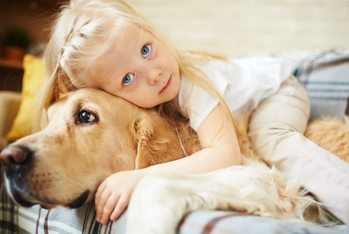 Cachorro mimado: carinho demais é prejudicial?