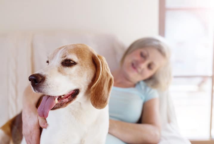 Terapia Assistida por Animais: conheça os peludos que curam!