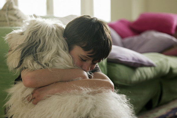 Conheça seis raças de cachorro amigas das crianças