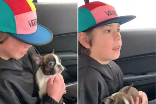 Antes de falecer, pai deixa cachorro de presente para filho e reação viraliza