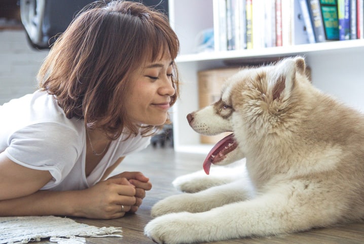 Como perder o medo de cachorro: causas e saídas para o problema