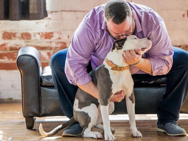 Grupo de passeio com cães visa saúde mental dos pais humanos