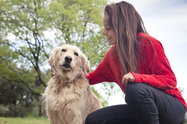 Abrigo consegue adoção para todos os pets em período de quarentena