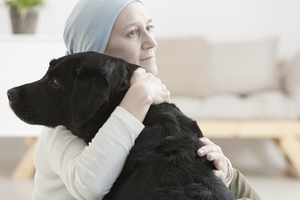 Cães de terapia não se estressam com o trabalho, segundo pesquisa