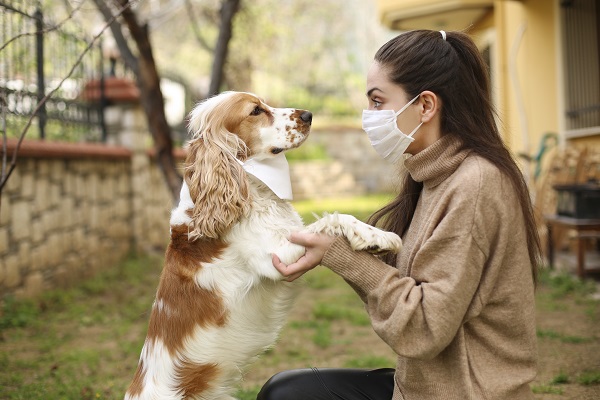 Como preparar seu pet para voltar à sua rotina antes da pandemia