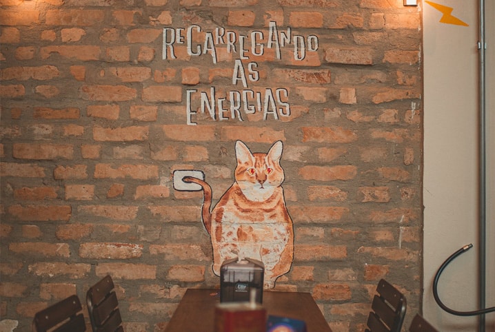 Cat Café, o café para os amantes de bichanos!