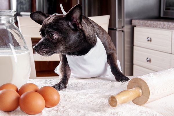 Receita de torta de frango para cães