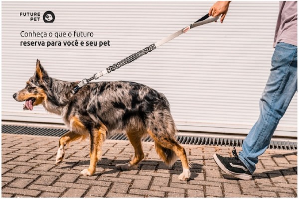 Como medir o cachorro para comprar o peitoral certo?