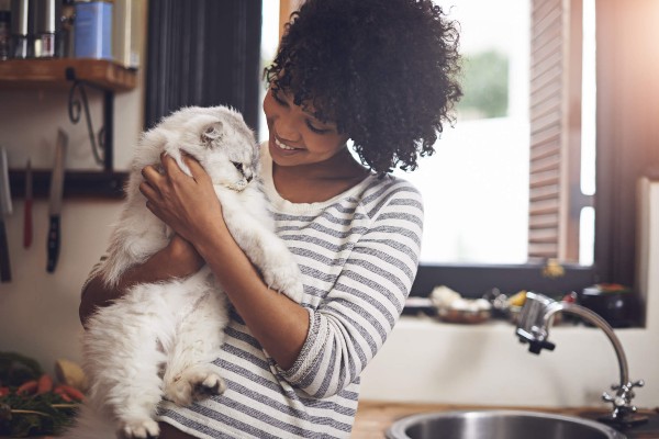 Gatos se apegam aos humanos?