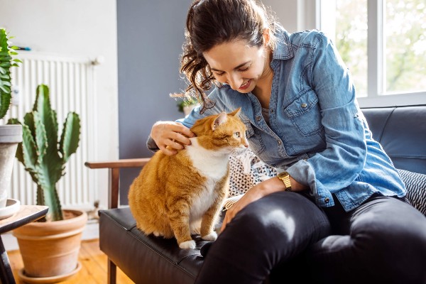 Pesquisa identifica diferentes tipos de humanos que possuem gatos