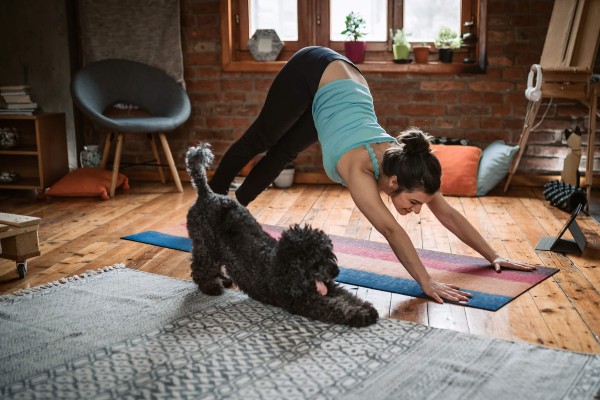 Quatro exercícios para fazer com seu cachorro em casa