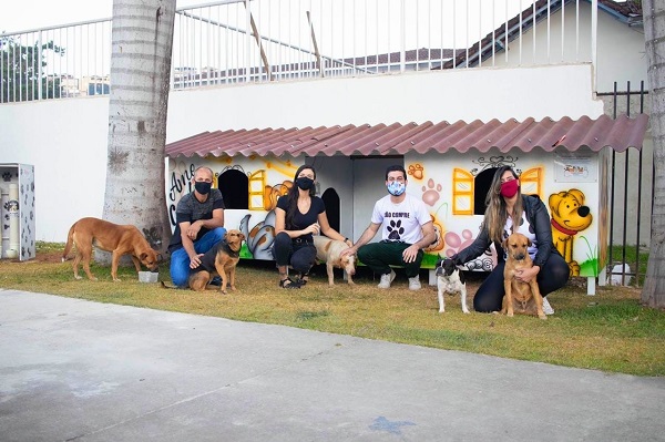 Voluntários criam “cãodomínio” para pets de rua