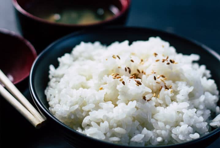 Cachorro pode comer arroz? Saiba a resposta!