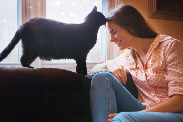 Por que alguns gatos gostam de lamber ou comer nosso cabelo?