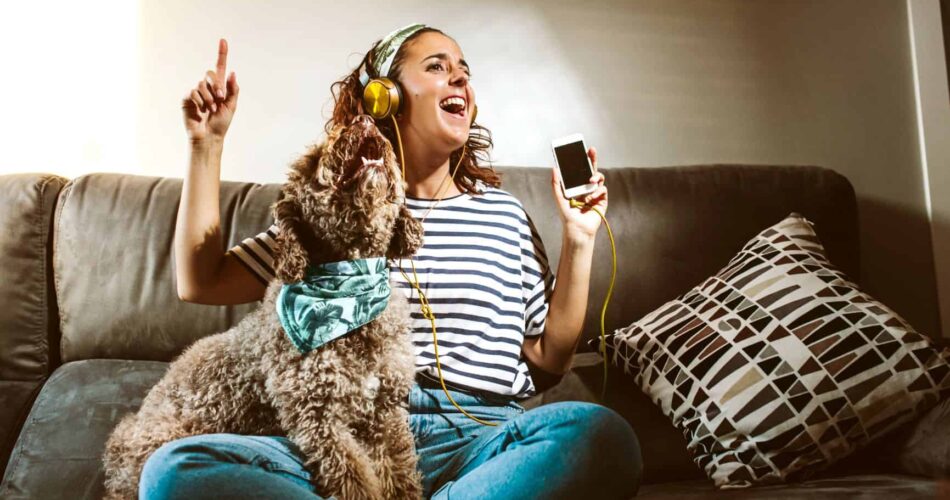 Quiz – Nos conte o seu humor e nós indicamos a playlist ideal