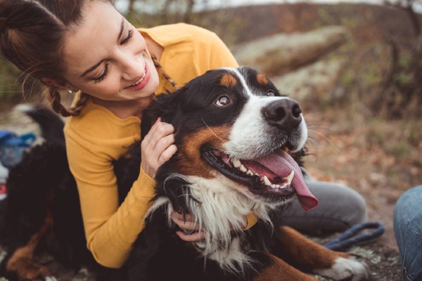 Como estreitar ainda mais os laços com seu cachorro