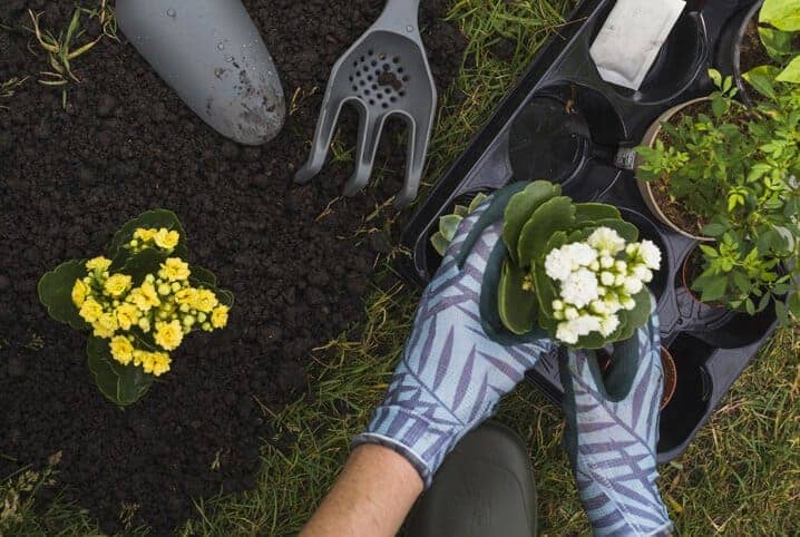 Como fazer um jardim pequeno: 6 dicas para criar o ambiente ideal