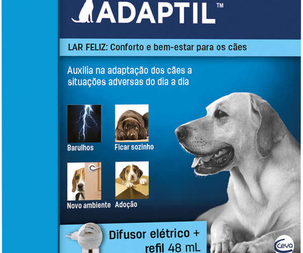 Fim de Ano Sem Estresse: produtos para ajudar um cachorro com medo de fogos