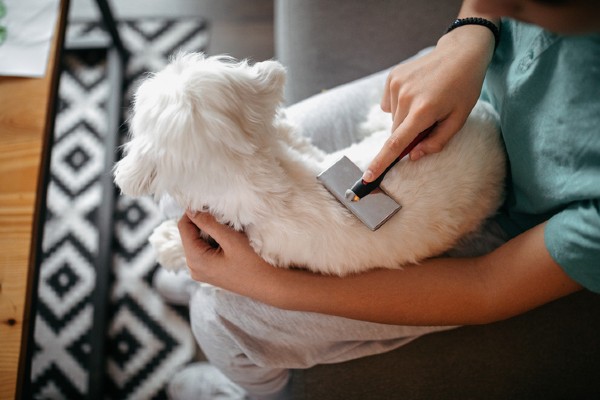 Quais raças de cachorro podem usar a Furminator?