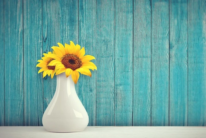 Quais são as flores para plantar na primavera?