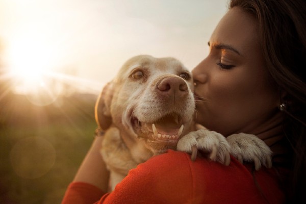 Pets têm emoção?