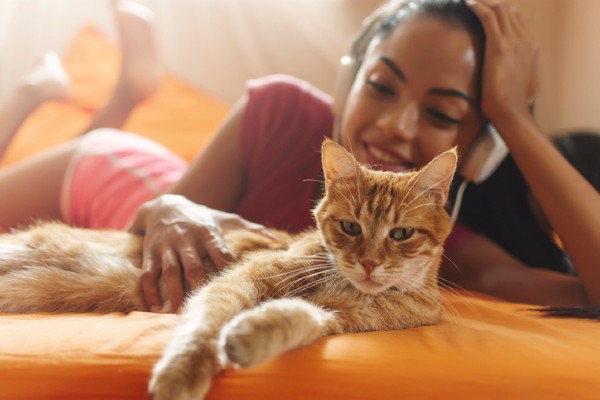 Pesquisa sugere que gatos laranja se destacam dos outros