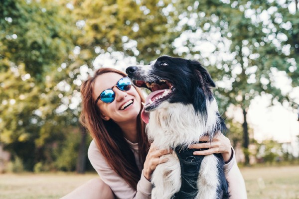 Prefeitura de Guarujá (SP) oferece mais espaços de lazer aos pets