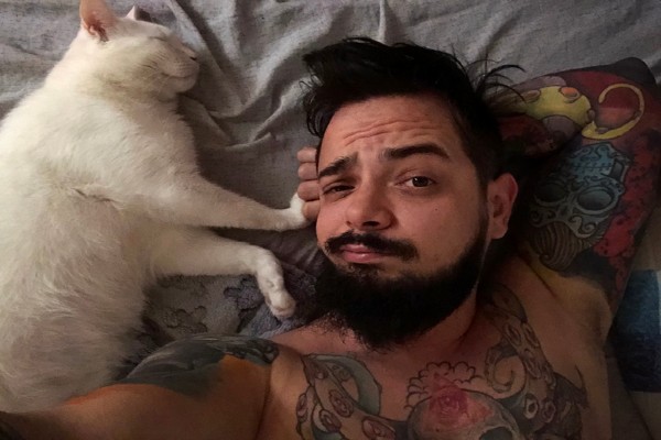 Cinco coisas que só os gatos fazem com os humanos