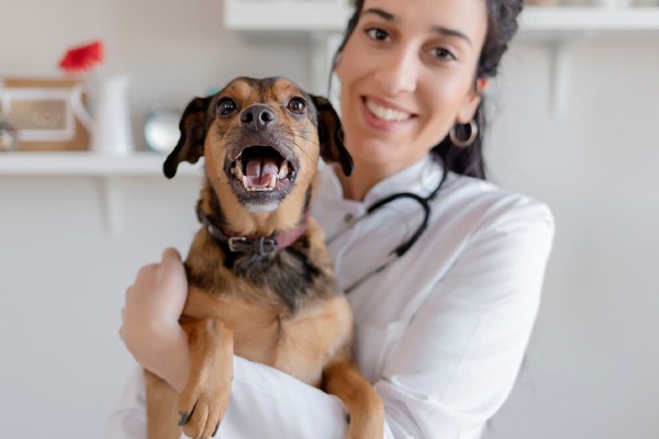 O que é um check-up?