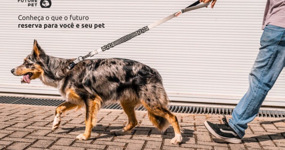 Quais os produtos da Future Pet?