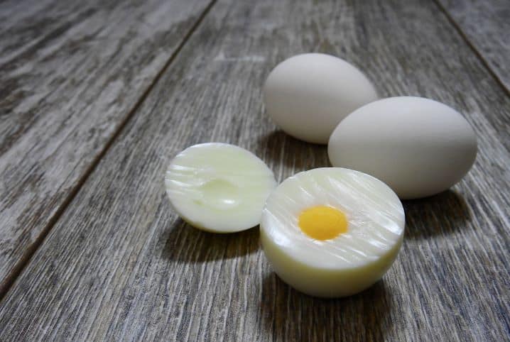 Calopsita pode comer ovo cozido? Descubra!