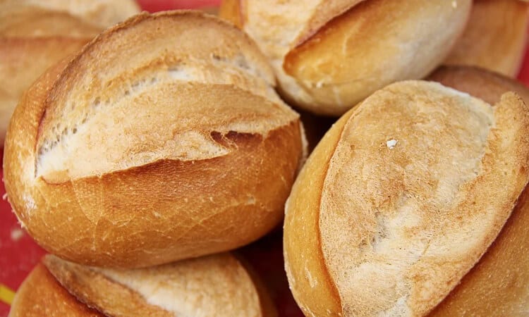 Calopsita pode comer pão? Saiba aqui!