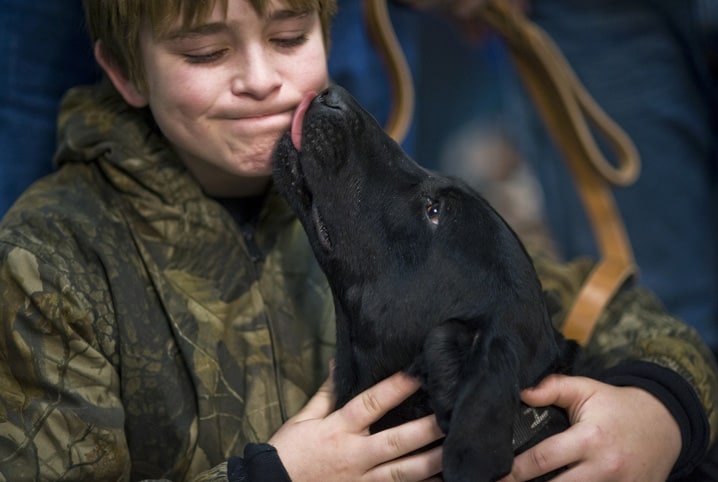 Descubra por que cachorro lambe o pé do dono!