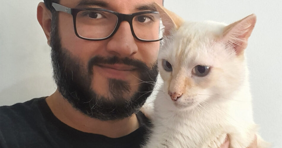 Museu do gato: página do Instagram reúne artes com felinos