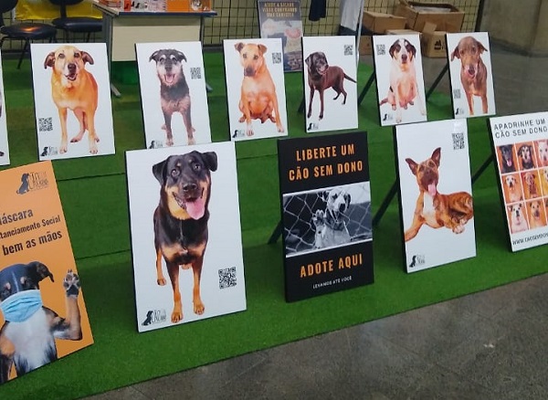 ONG Cão Sem Dono promove ação no Metrô de SP