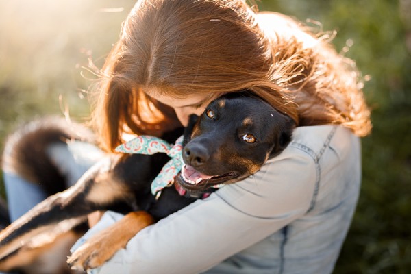 Pesquisa revela como a pandemia impactou a adoção de pets