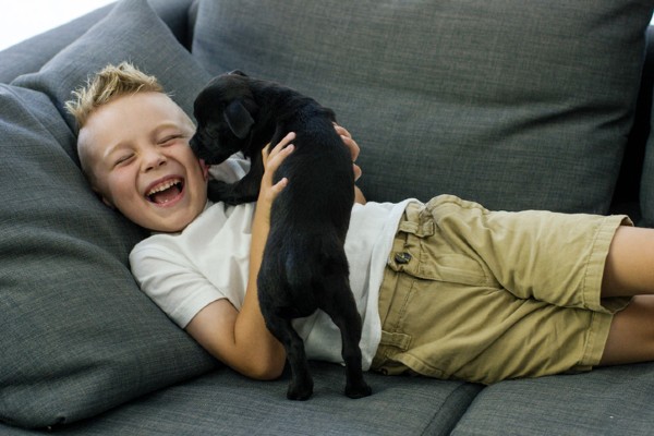 Filhotes de cachorro para adoção