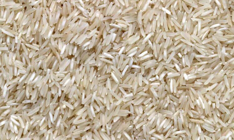 Papagaio pode comer arroz? Descubra tudo sobre o assunto!