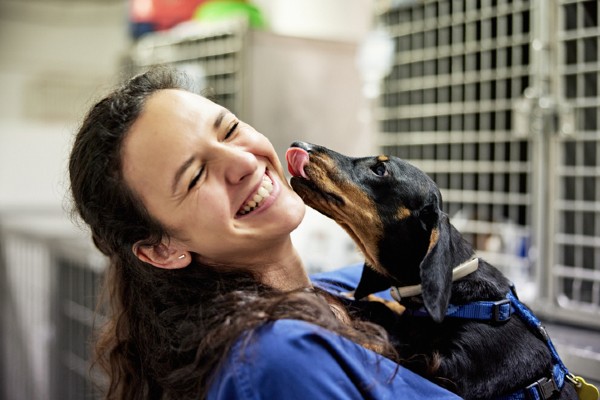 Ampara Animal precisa de doações, veja como ajudar