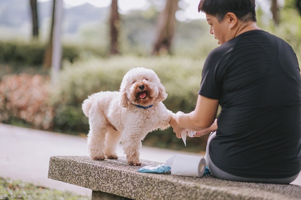 Posso usar lenço umedecido de bebê em cachorro?