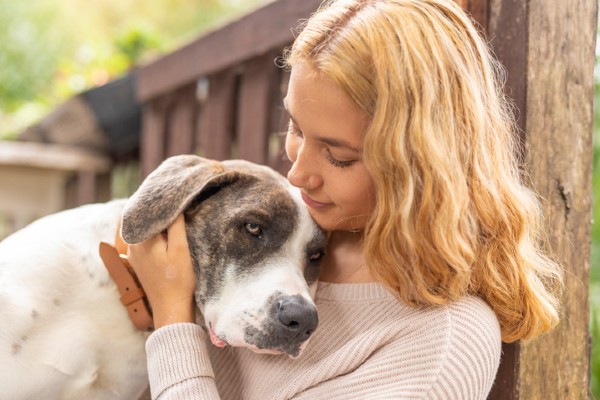 Seu cachorro idoso não quer comer?