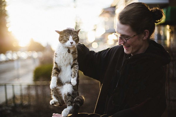 3 motivos para você não segurar seu gato pelo pescoço!