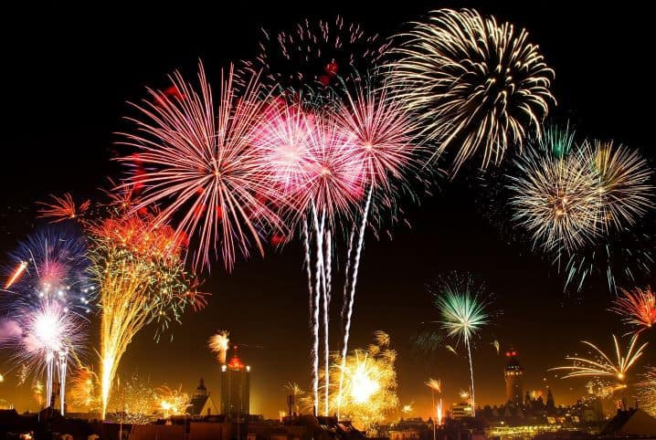 Entenda todos os efeitos dos fogos de artifício nos pets!