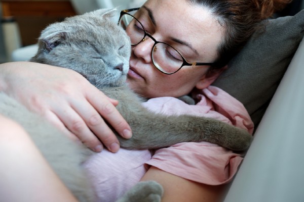 Tumores em gatos idosos