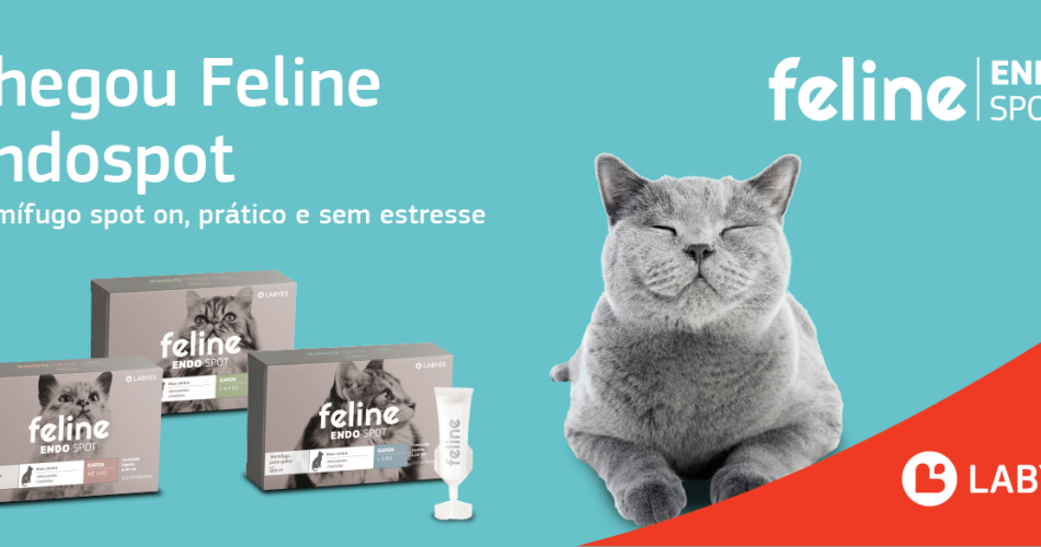 Vermifugar o seu gato é uma tarefa fácil?